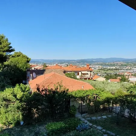 Palmarin