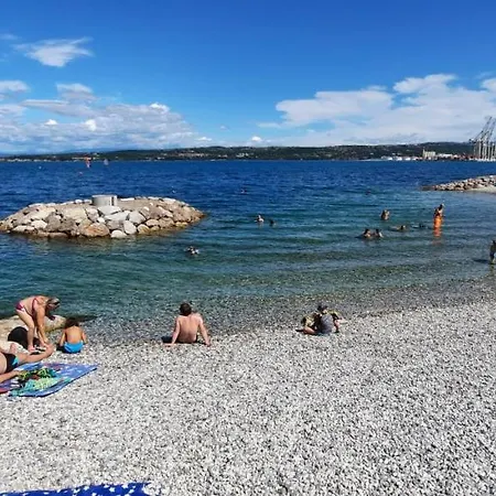 Palmarin Daire Koper