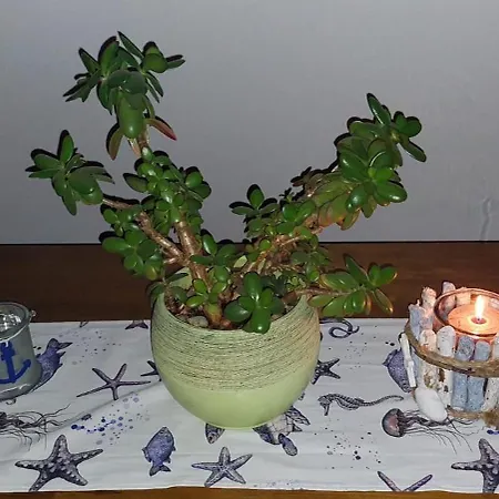 Palmarin Appartement *