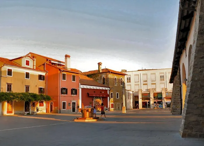 Palmarin * コペル