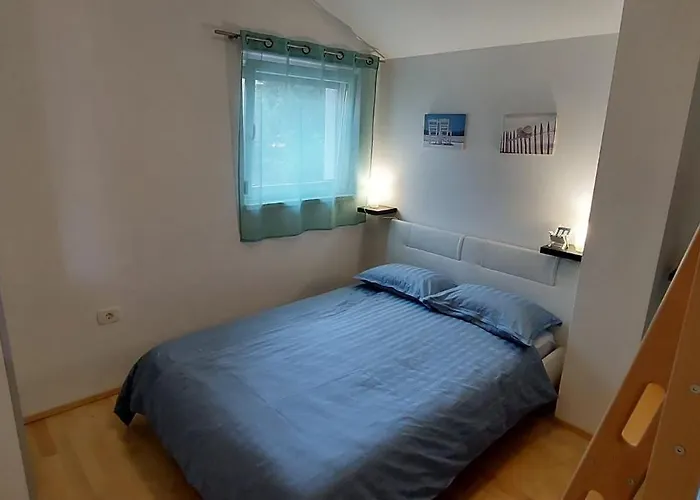 Palmarin * 科佩尔