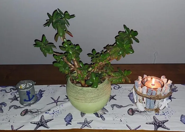 Palmarin 아파트 *